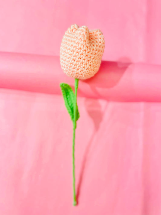 Tulip Crochet