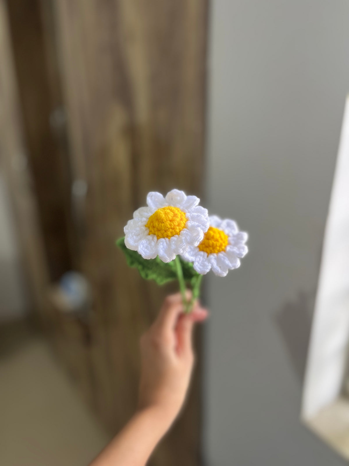 Daisy Crochet