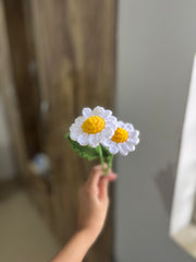 Daisy Crochet