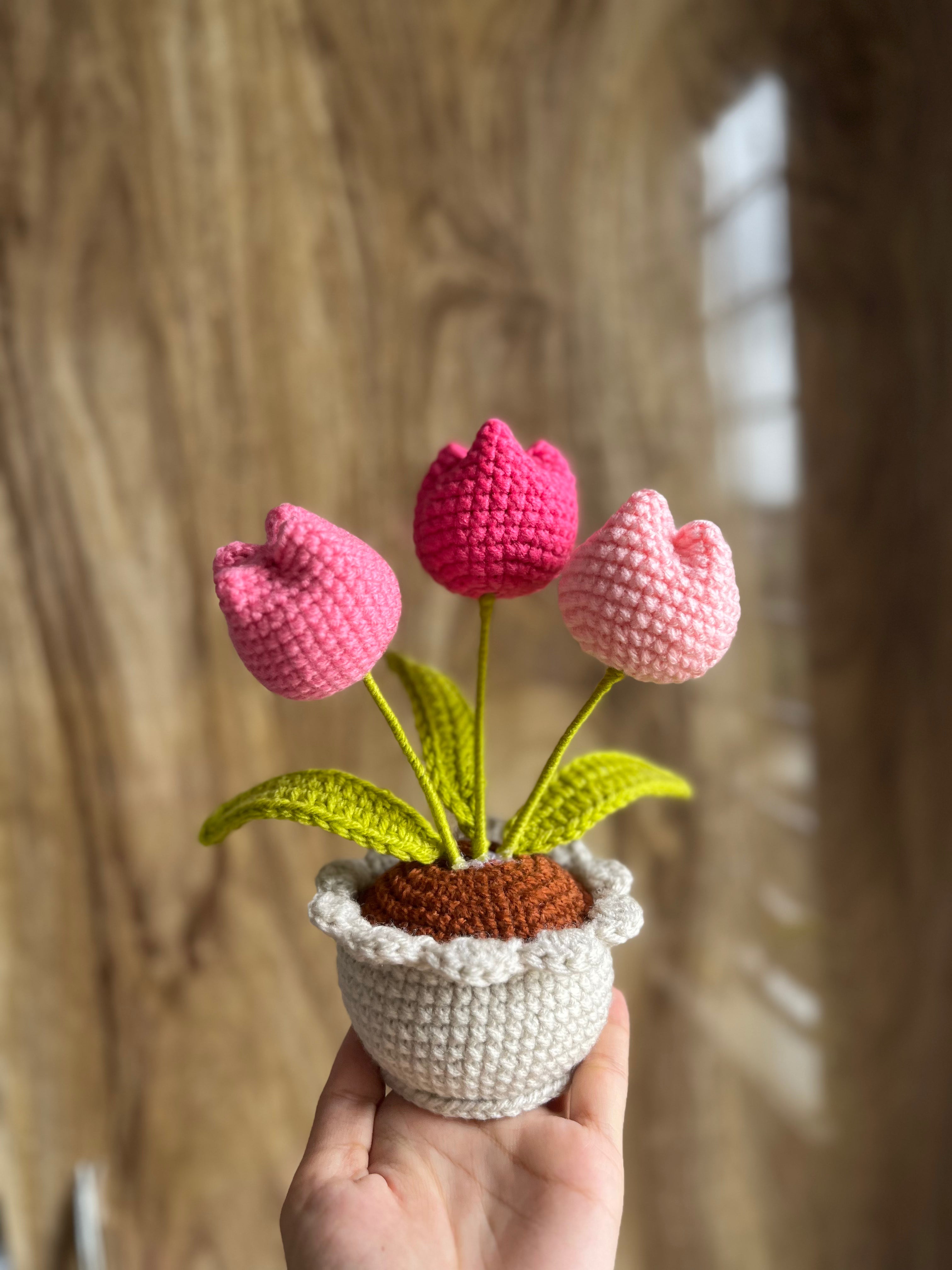 Trio Tulip Pot Crochet
