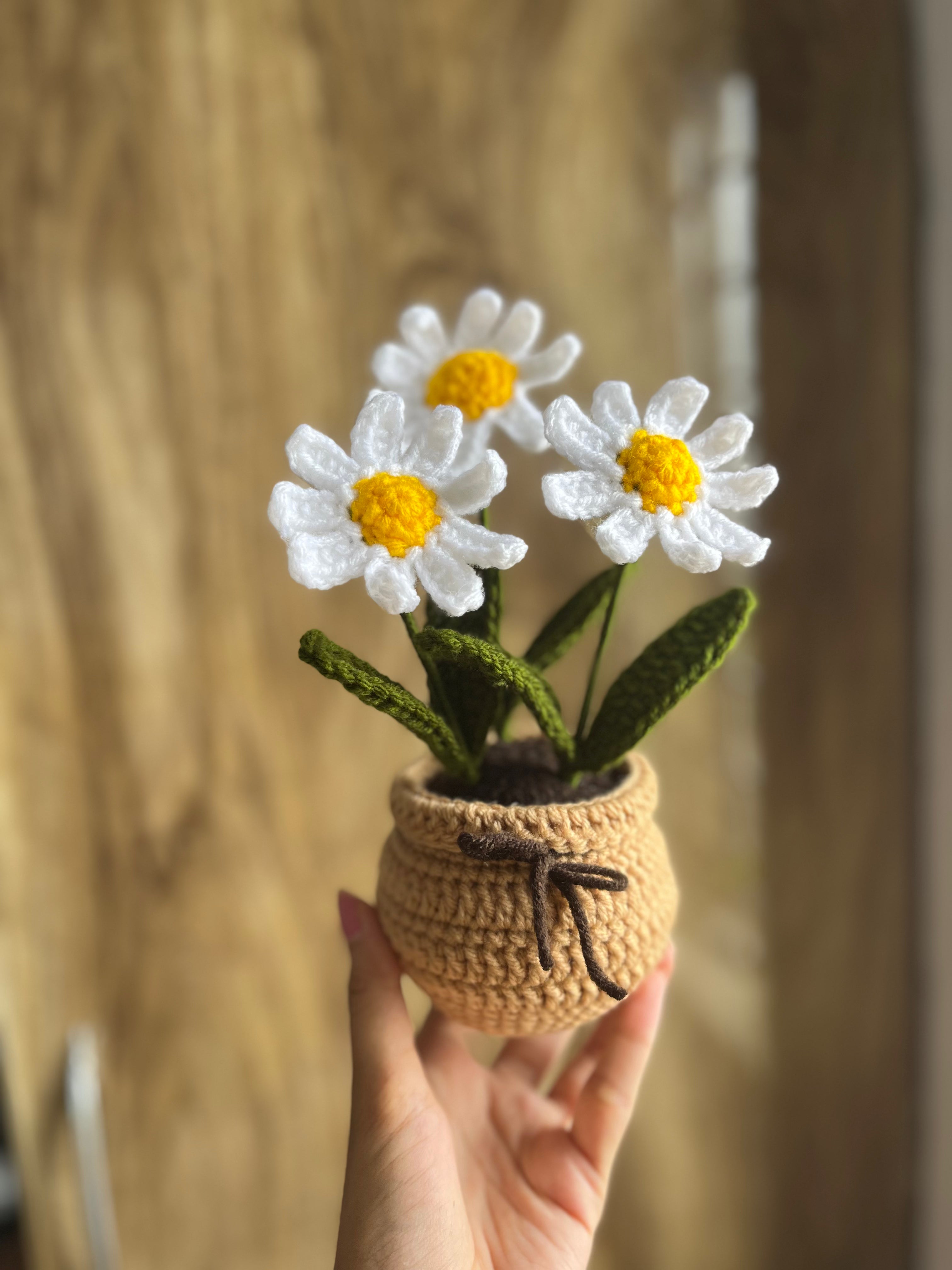 Daisy Charm Pot Crochet