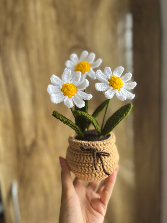 Daisy Charm Pot Crochet