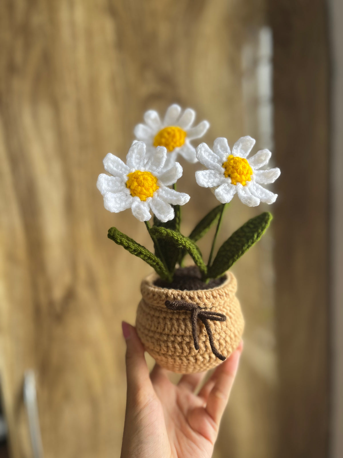 Daisy Charm Pot Crochet
