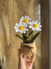 Daisy Charm Pot Crochet