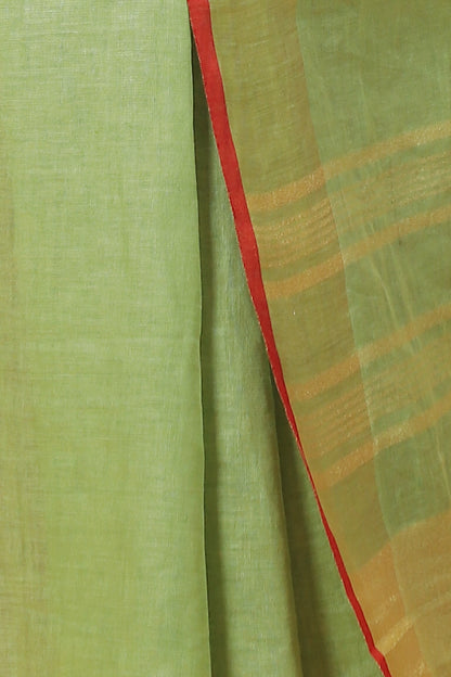 Parrot Green